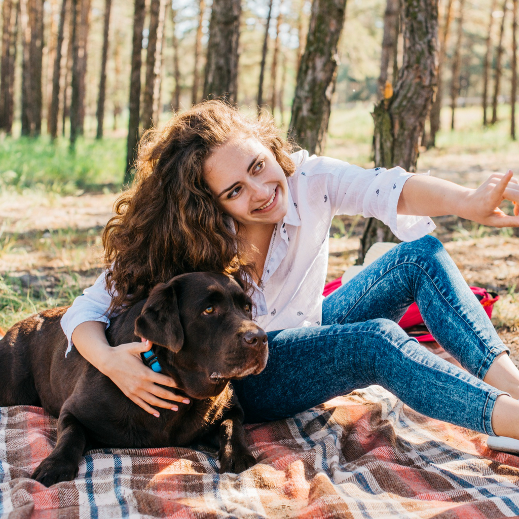 A Guide to Outdoor Adventures with Your Pet