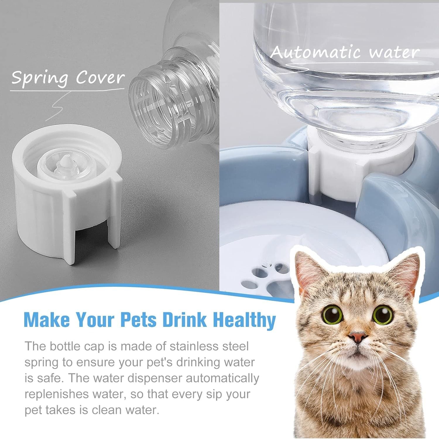 Dog Bowls and Dispenser Detachable Bottle