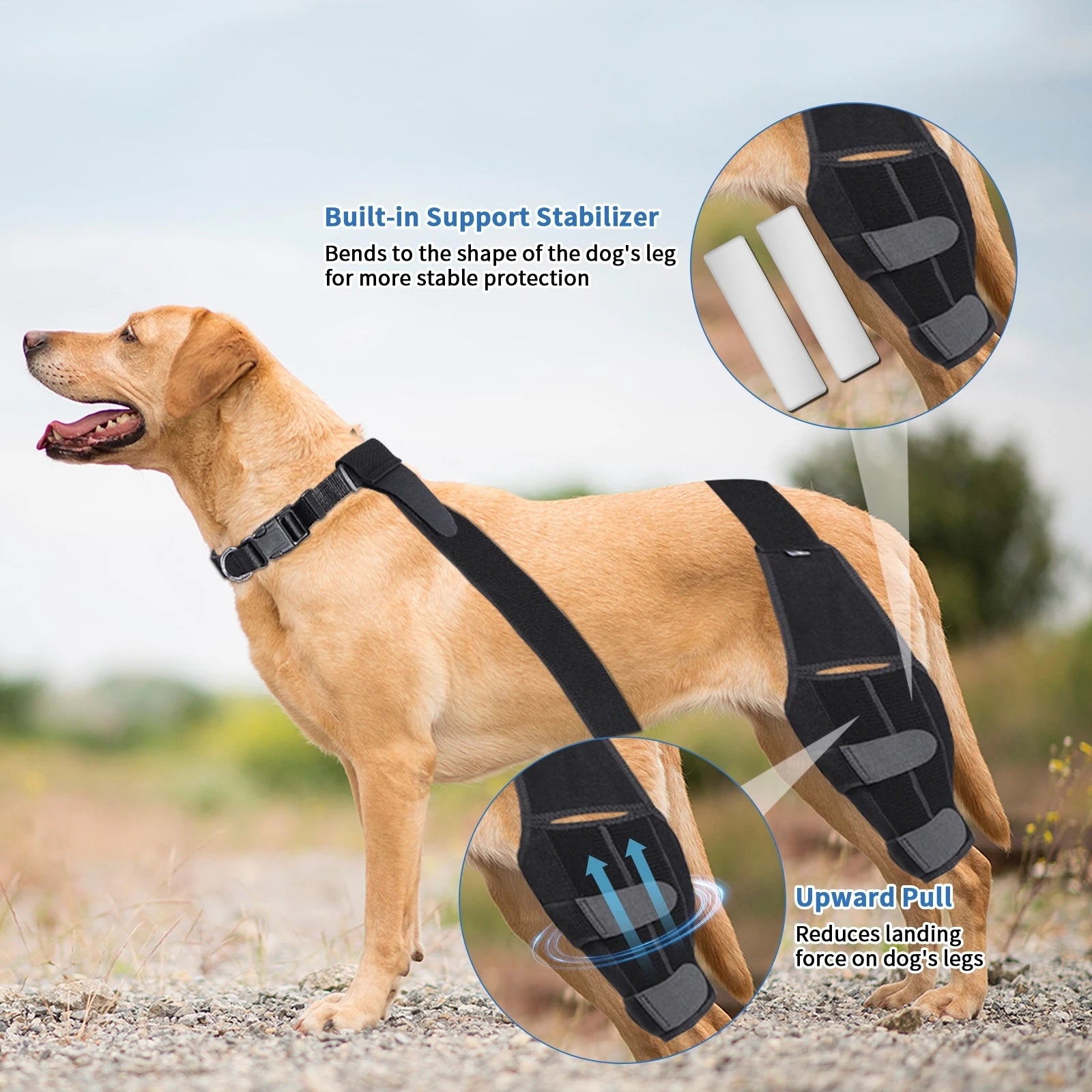 Dog Knee Pad Surgical Injury Protective Cover