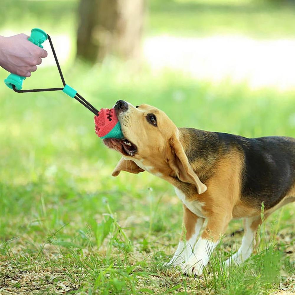 Pet Toy Pull Rope Training Ball