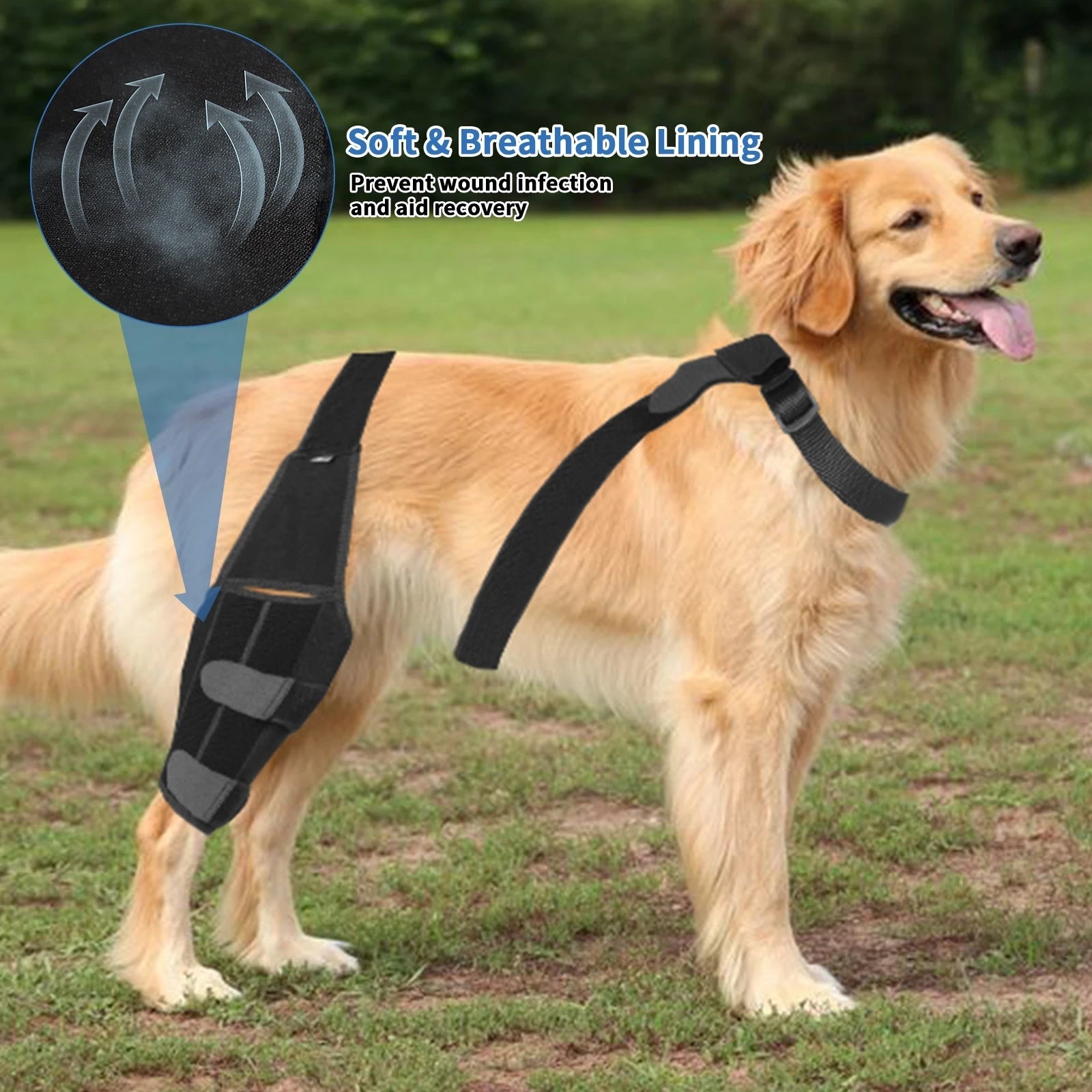 Dog Knee Pad Surgical Injury Protective Cover