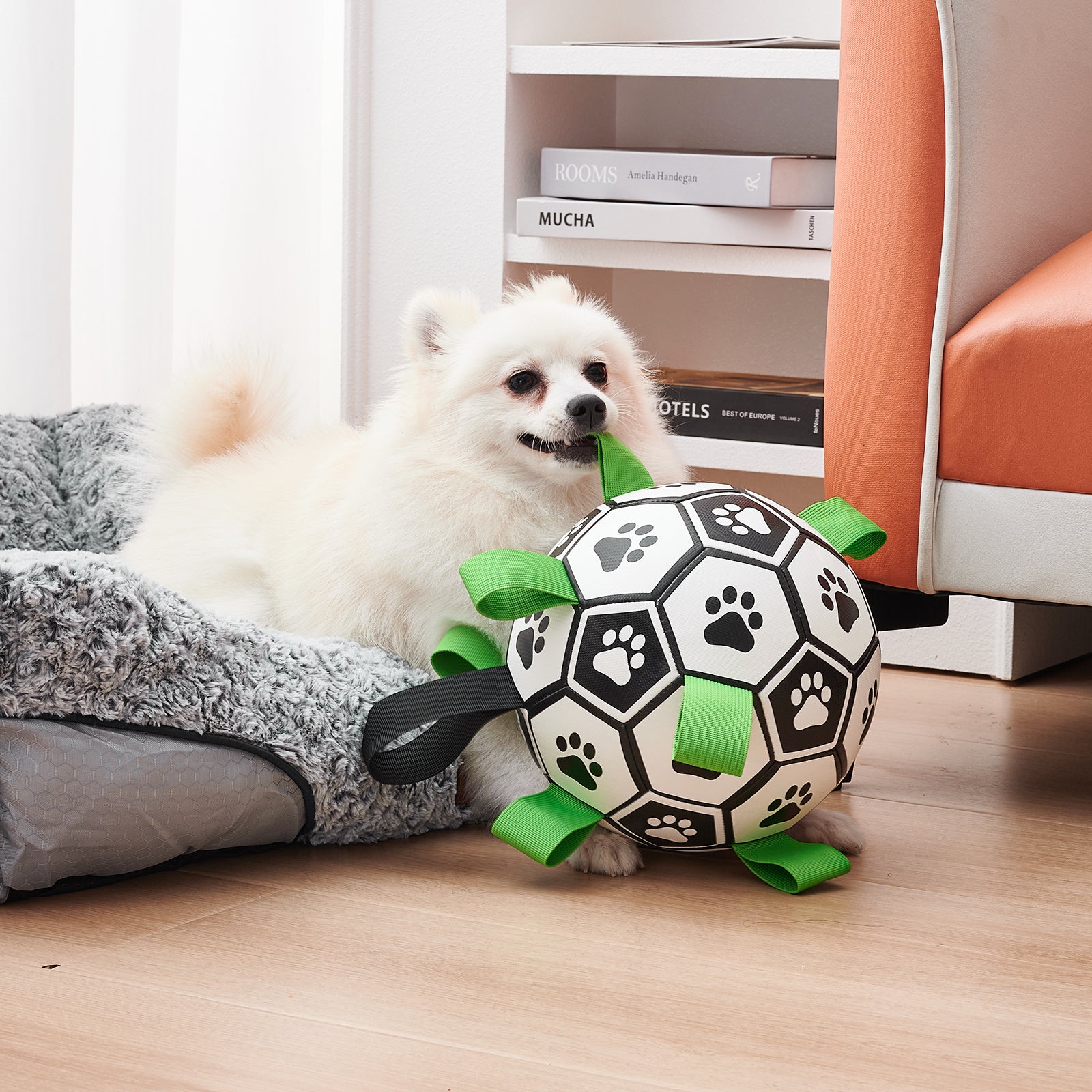 Interactive Dog Football Training Toy