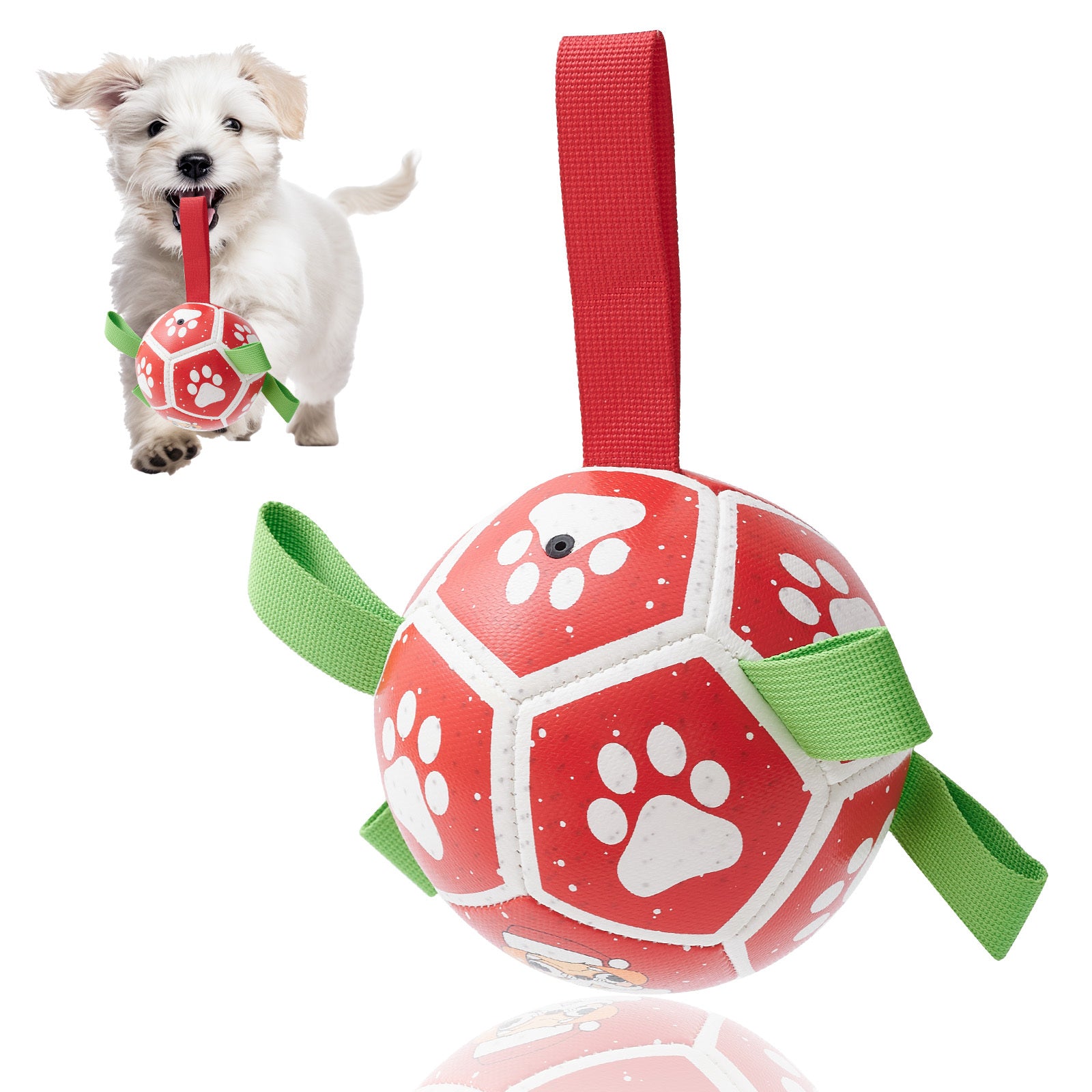 Interactive Dog Football Training Toy