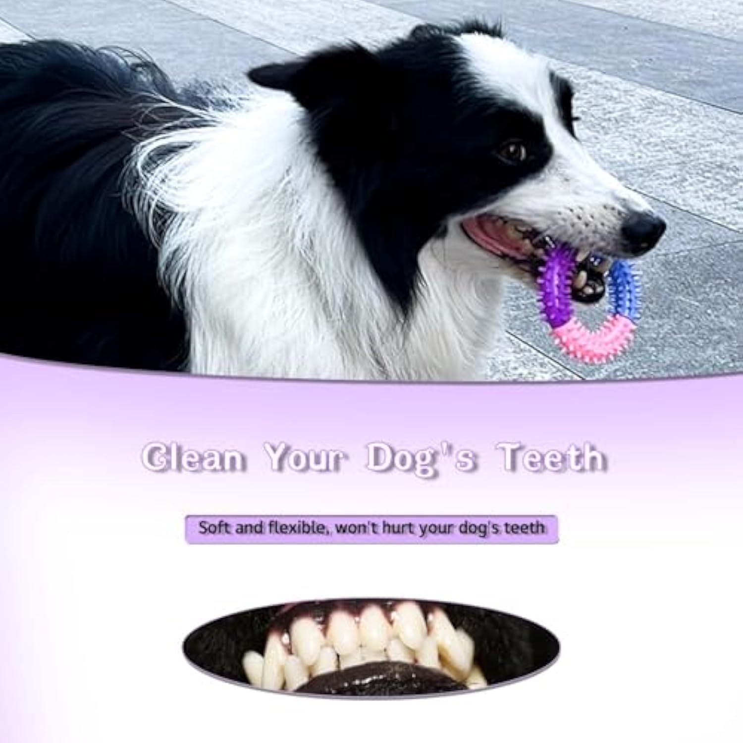 Dog Chew Ring Teething Rubber Toy