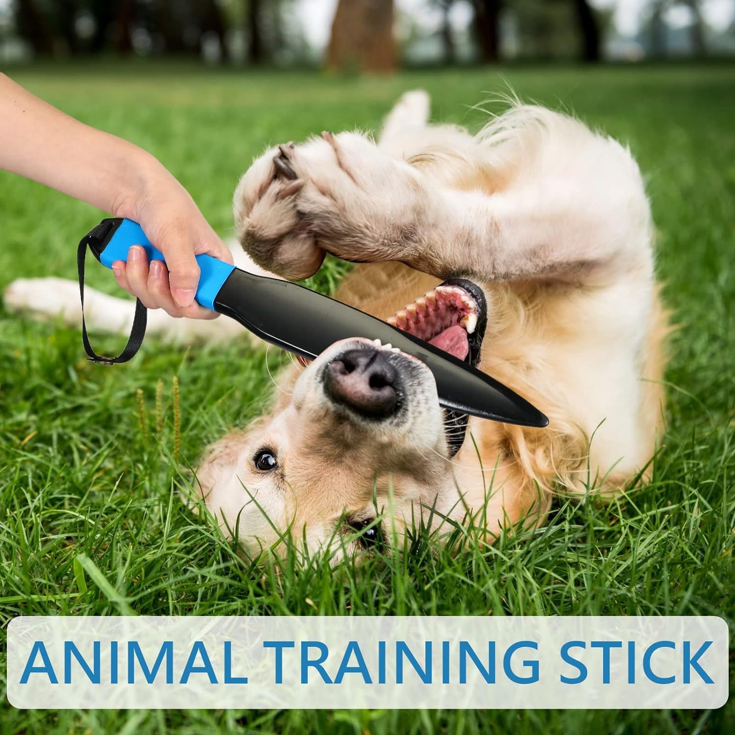 Dog Break Stick Bite Training Chew Toys