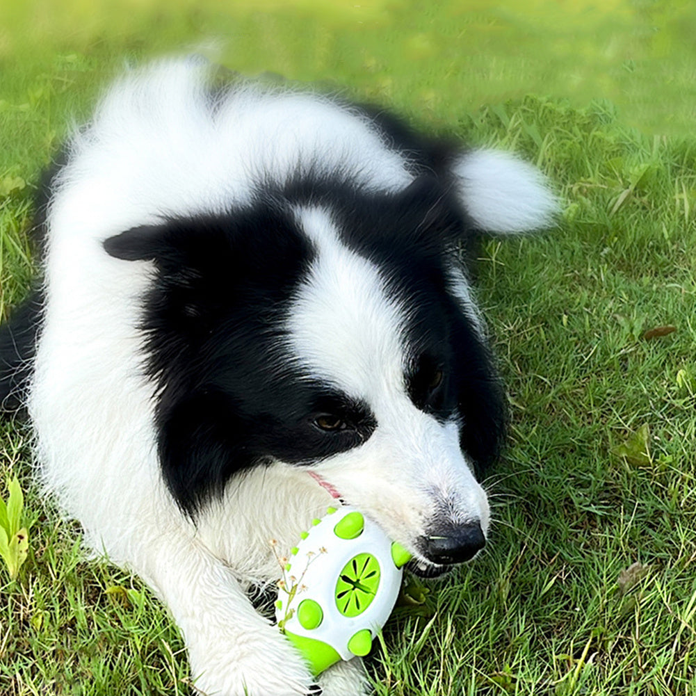 Pet Dog Interactive TPR Chewing Toys