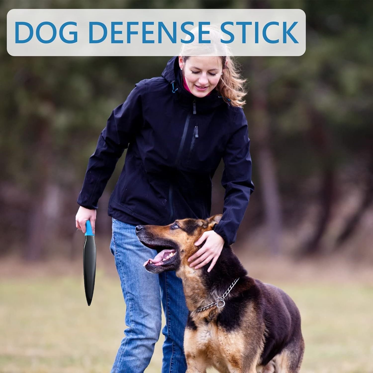 Dog Break Stick Bite Training Chew Toys