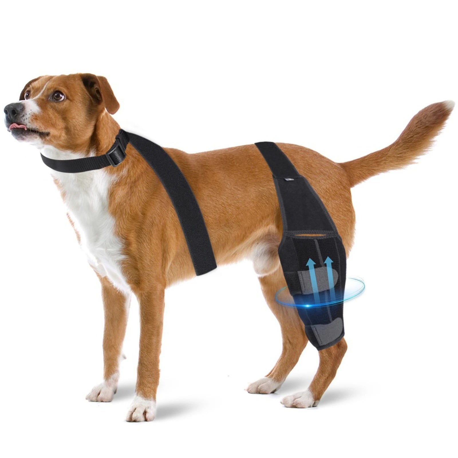 Dog Knee Pad Surgical Injury Protective Cover