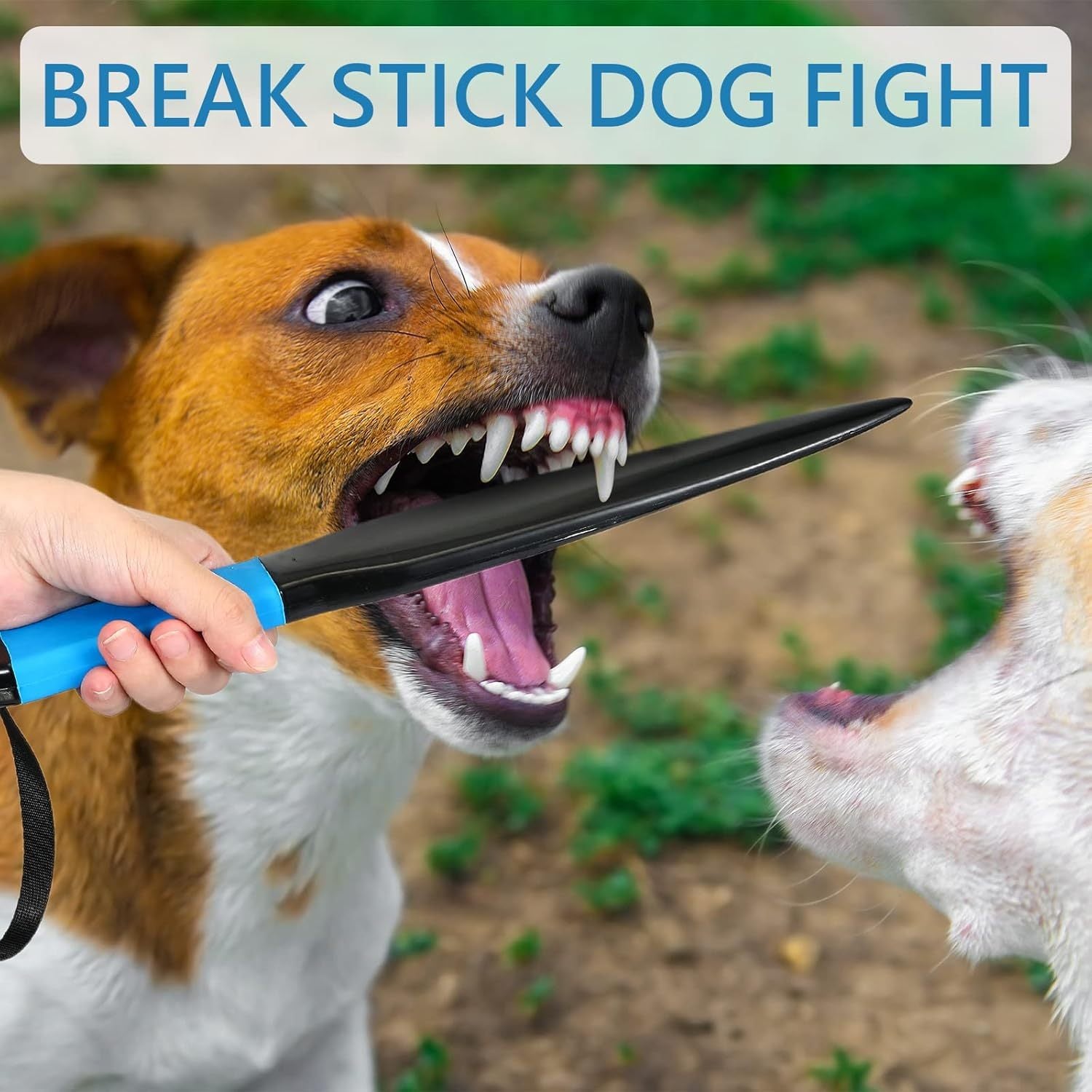 Dog Break Stick Bite Training Chew Toys